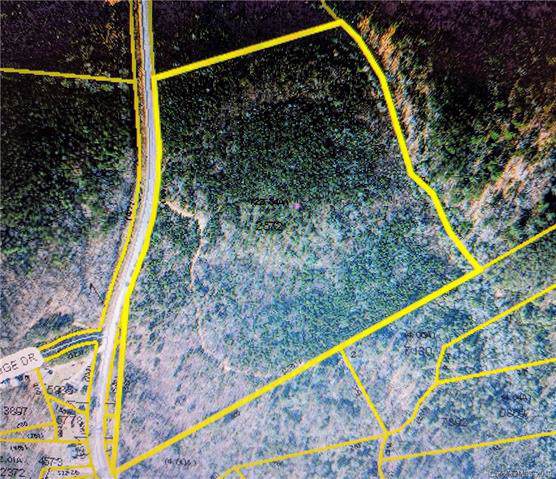 4409 Piney Road - Photo 1
