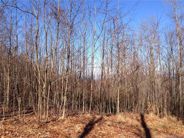 Lot4 Apple Blossom Road - Photo 1