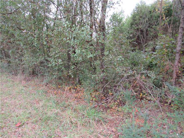 113 Coleman Goforth Farm Road - Photo 1