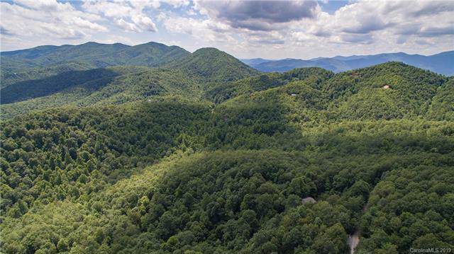 60 Burnt Ridge Trail - Photo 1