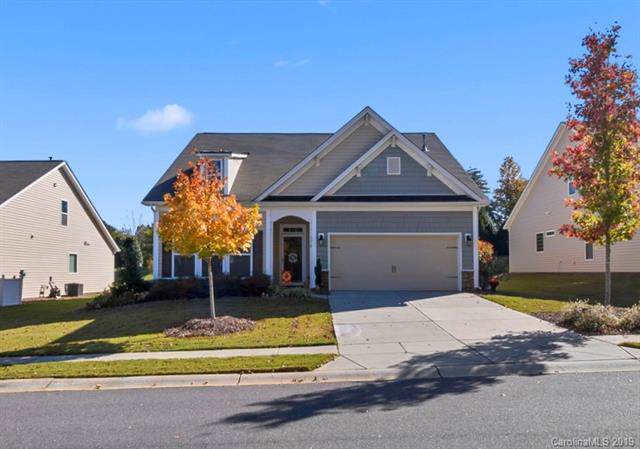 1116 Black Walnut Road - Photo 1