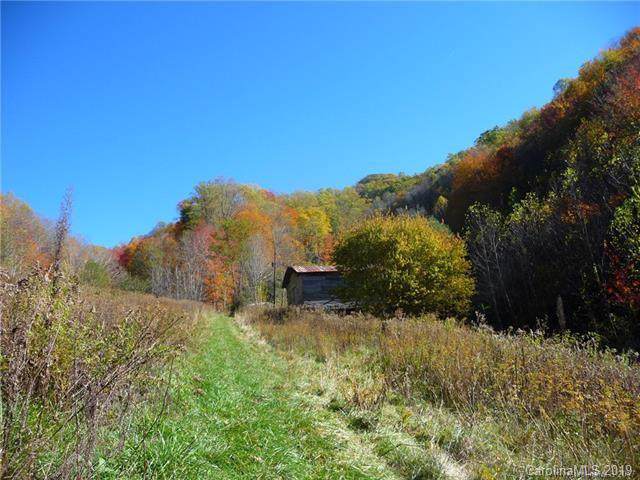 TBD Roaring Fork Road - Photo 1 TBD Roaring Fork Road - Photo 1