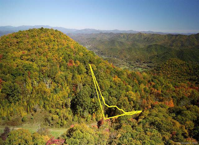 000 Buffalo Ridge - Photo 1