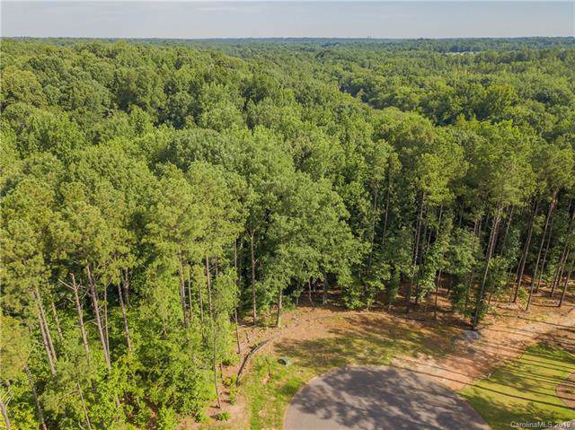 1481 Fall Seed Drive - Photo 1