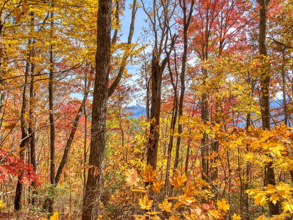0000 Eagles Nest Road - Photo 1