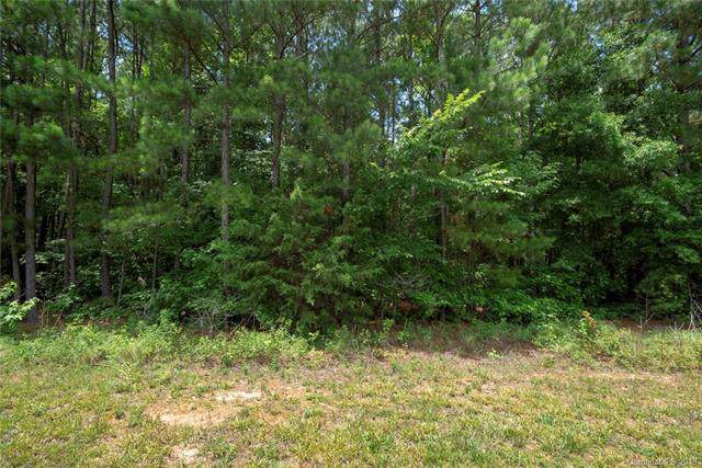 #39 Charlotte Highway - Photo 1