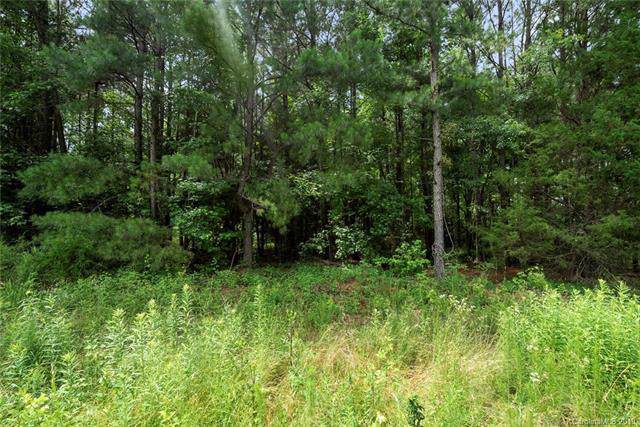 35 Charlotte Highway - Photo 1