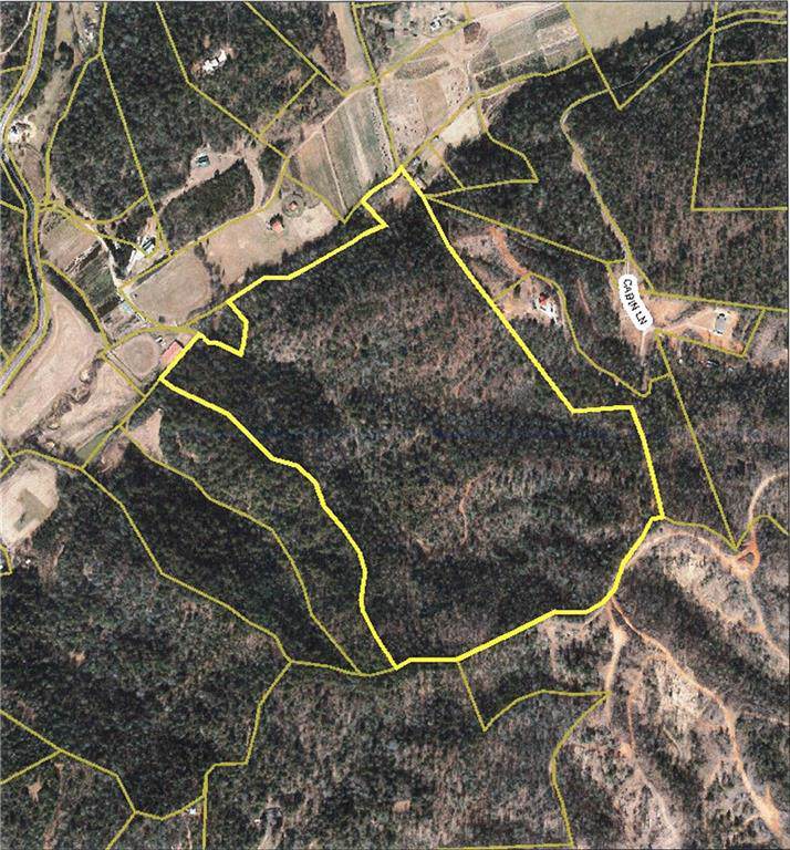 0 Roby Martin Road - Photo 1