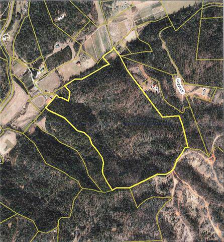 0 Roby Martin Road - Photo 1