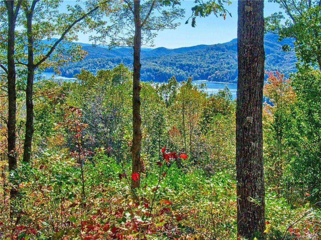 Lot 23 Hawks Nest Trail - Photo 1 Lot 23 Hawks Nest Trail - Photo 1