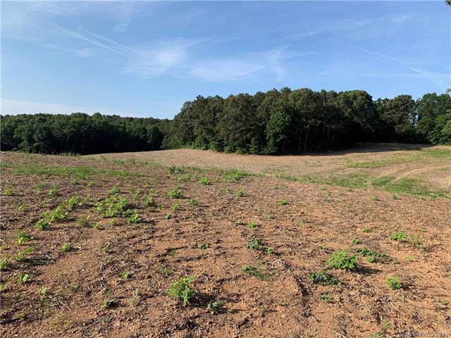 7420 Highway 205 Highway - Photo 1