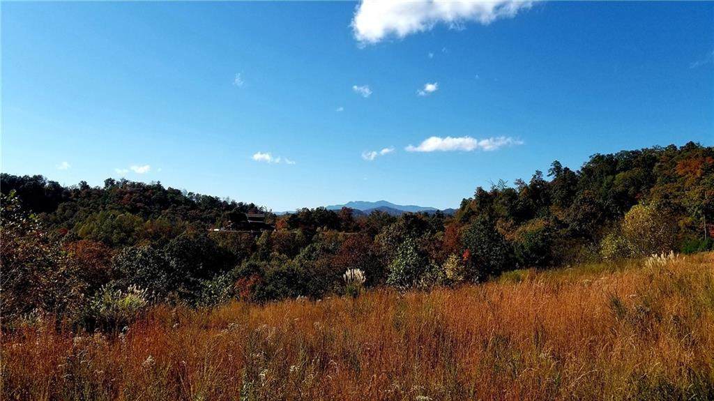 0 Roca Vista Drive - Photo 1