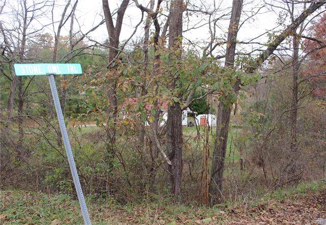 295 Old Nc 20 Highway - Photo 1