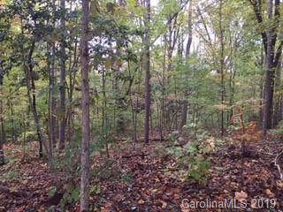 00 Howard Gap Road - Photo 1