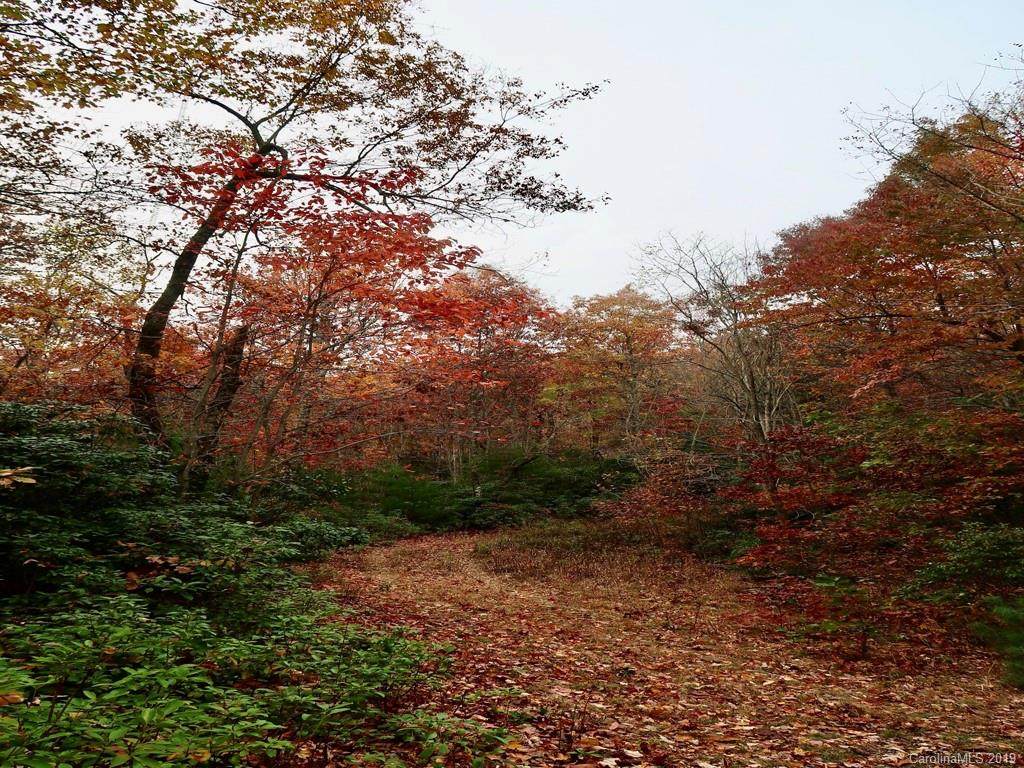 5A Fox Tower Road - Photo 1
