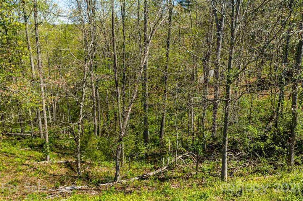 59 Sweet Fern Parkway - Photo 1