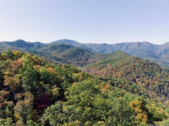 00 Burningtown Falls Road - Photo 1