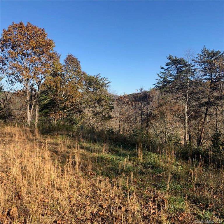 311 Broad Vista Lane - Photo 1