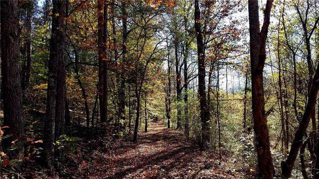 Tract Across From 15 Ring Tail Road - Photo 1