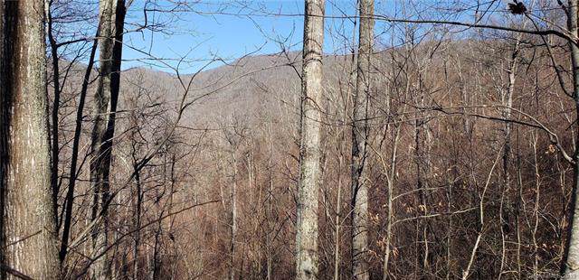 TBD Blackberry Inn Road - Photo 1
