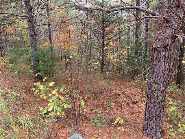 0 Bitterroot Circle - Photo 1
