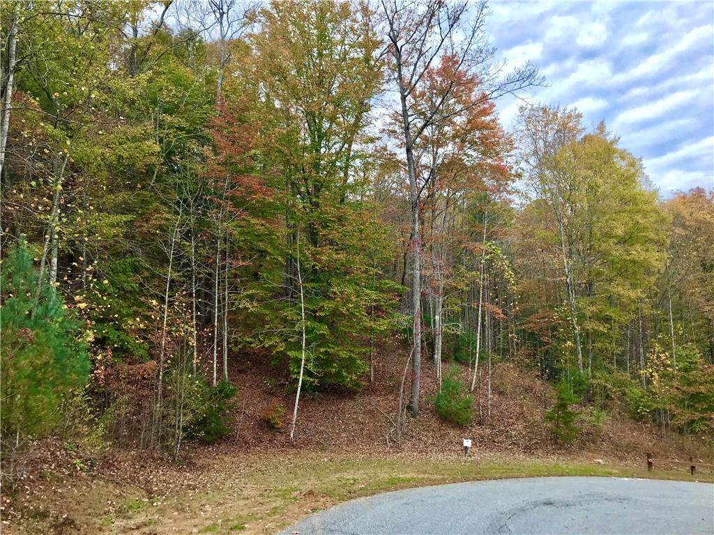 0 Round Mountain Parkway - Photo 1