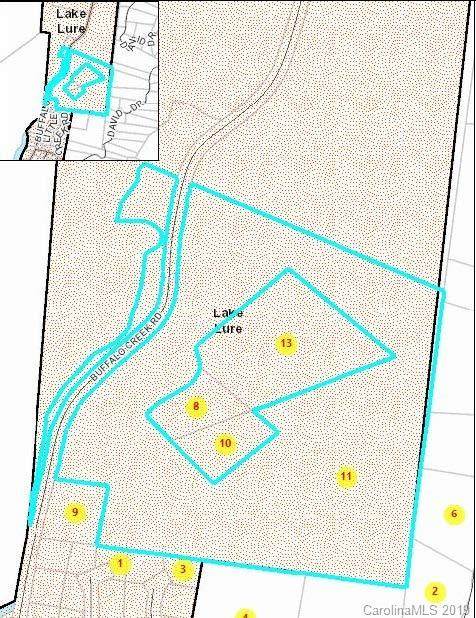 0000 Buffalo Shoals Road - Photo 1