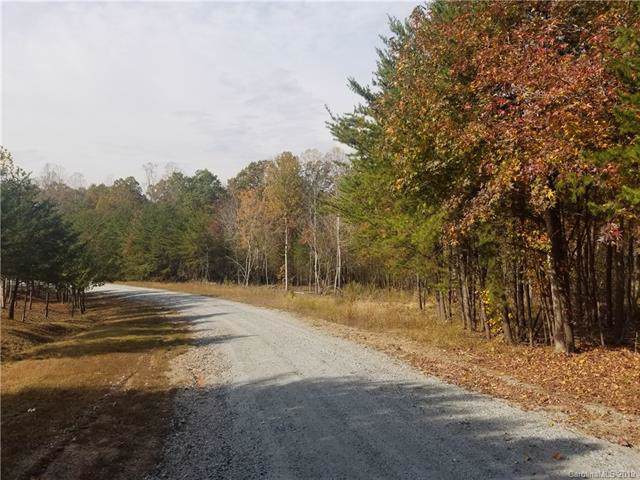 000 Forest Trail Drive - Photo 1 000 Forest Trail Drive - Photo 1