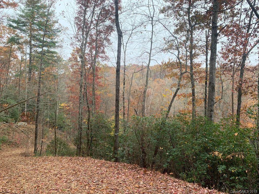Lot 134 Green Hollow Lane - Photo 1