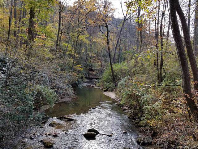 2.11 Acres OFF Rivercove Lane - Photo 1