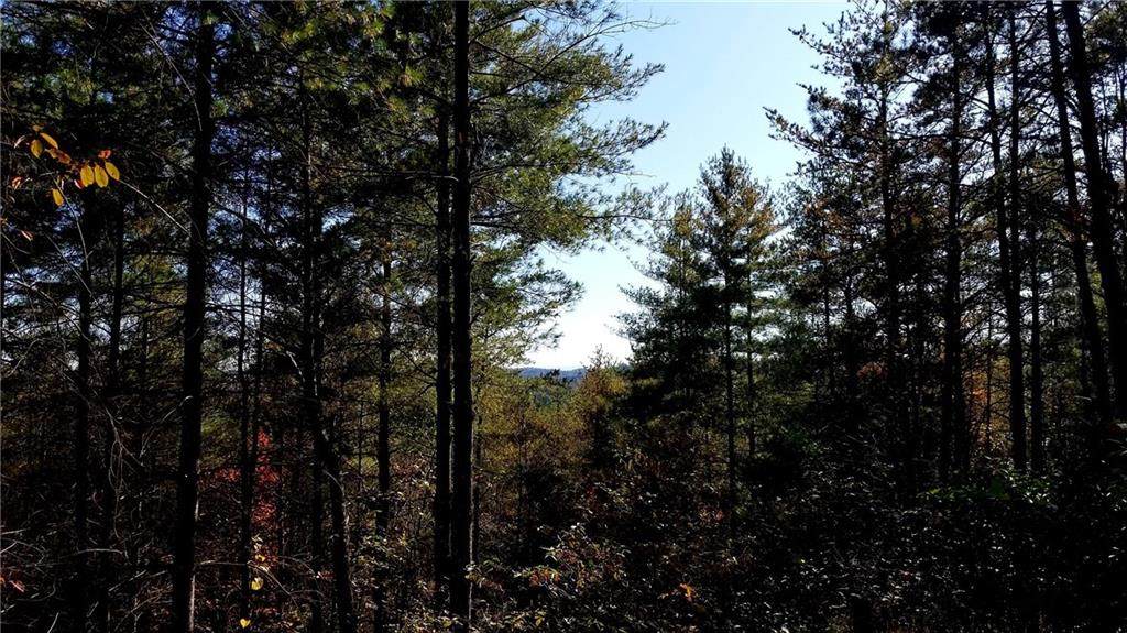 Lot 92 Basile Place - Photo 1