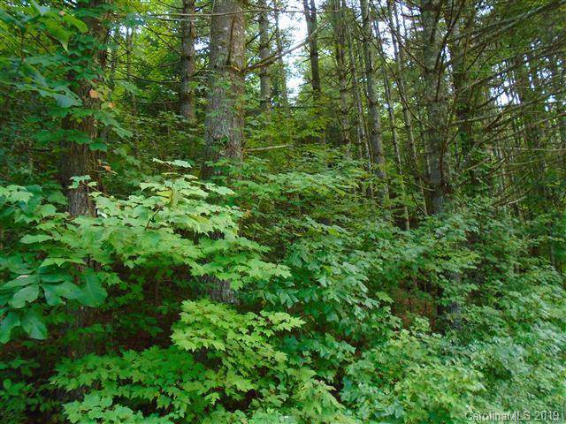 999 Round Mountain Road - Photo 1