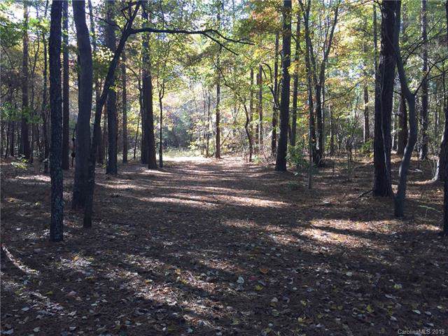 0000 Pine Hollow Drive - Photo 1