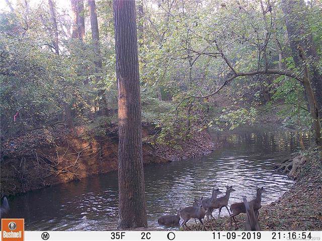 7718 Big Buck Trail - Photo 1
