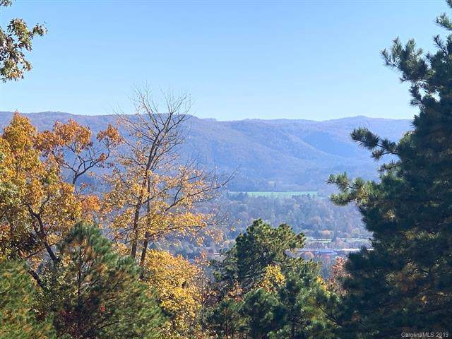 Lot 25 Elk Mountain Trail - Photo 1 Lot 25 Elk Mountain Trail - Photo 1