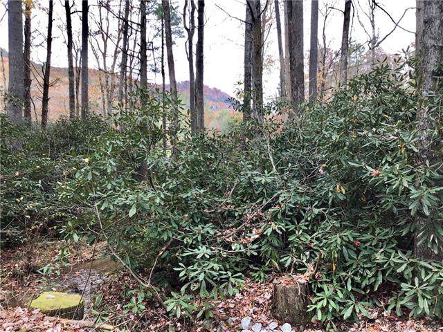 K Lot 2 Mills Creek Drive - Photo 1