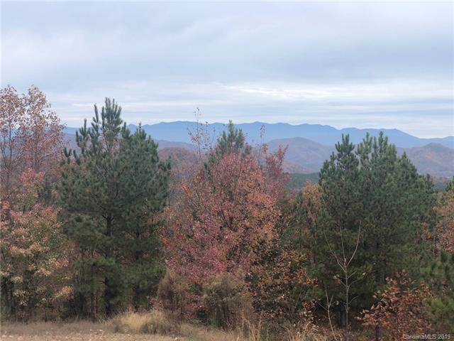 Lot #35 Waterfall Drive - Photo 1