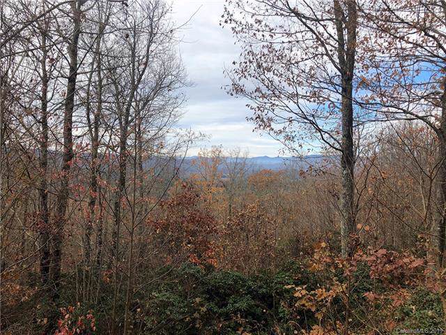 105 Crossvine Trail - Photo 1