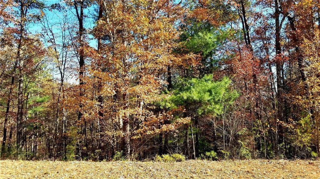 0 High Trail Drive - Photo 1