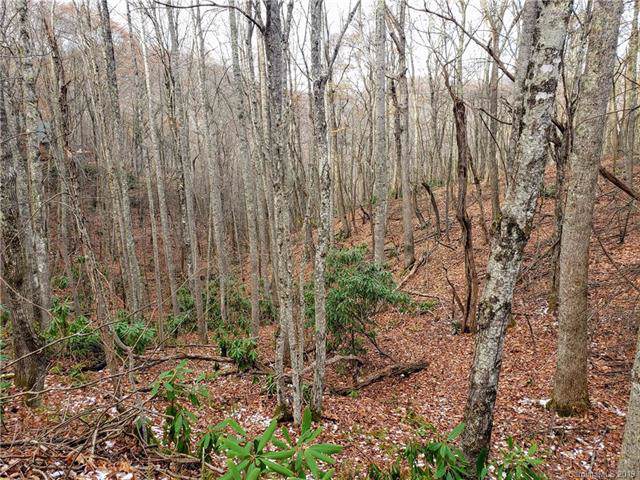 00 Connies Cove - Photo 1