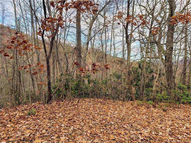 00 Autumn Drive - Photo 1
