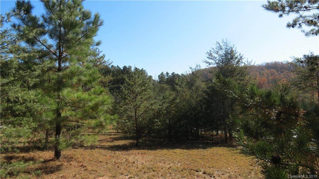 Lot 15-IV Double Eagle Drive - Photo 1