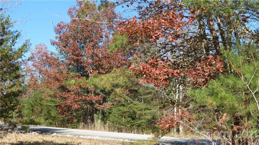 Lot 15-IV Double Eagle Drive - Photo 1