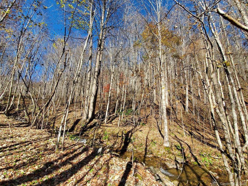 999 Scronce Creek Road - Photo 1