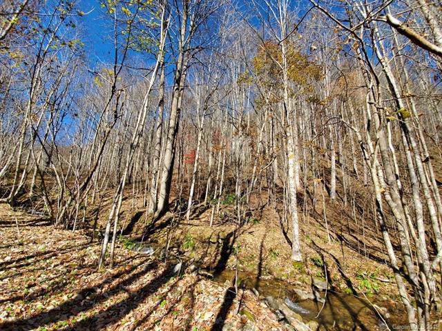 999 Scronce Creek Road - Photo 1