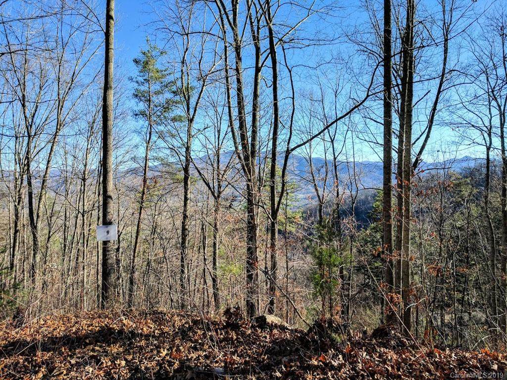 Lot 29 Ashewood Lane - Photo 1