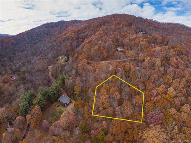 Lot 29 Ashewood Lane - Photo 1
