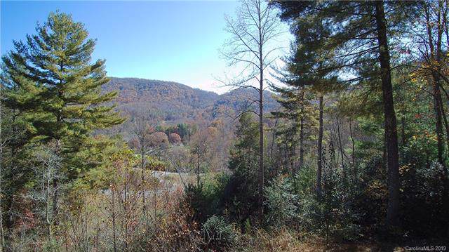 3.27 Acres off Autumn Trail Lane - Photo 1