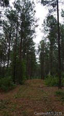 10 AC Hidden Valley Road - Photo 1