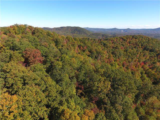 000 Bill Tuttle Road - Photo 1